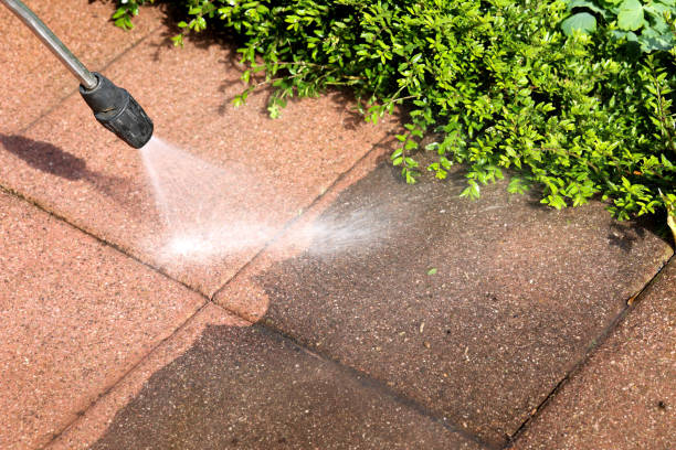 Best Exterior Home Cleaning  in North Haledon, NJ